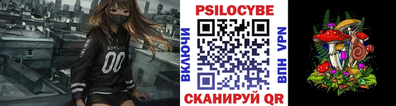 Псилоцибиновые грибы GOLDEN TEACHER shop наркотические препараты Пятигорск
