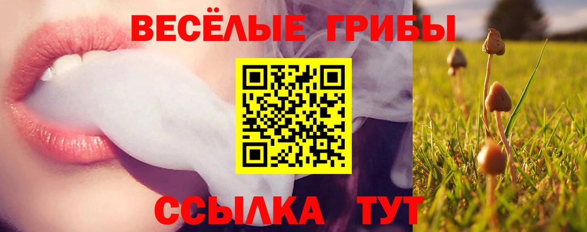Пятигорск  Галлюциногенные грибы GOLDEN TEACHER  Вход с VPN 